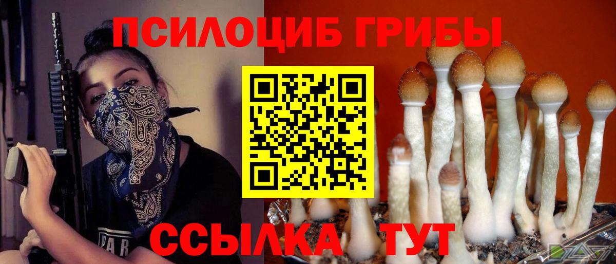 Галлюциногенные грибы Cubensis Кунгур