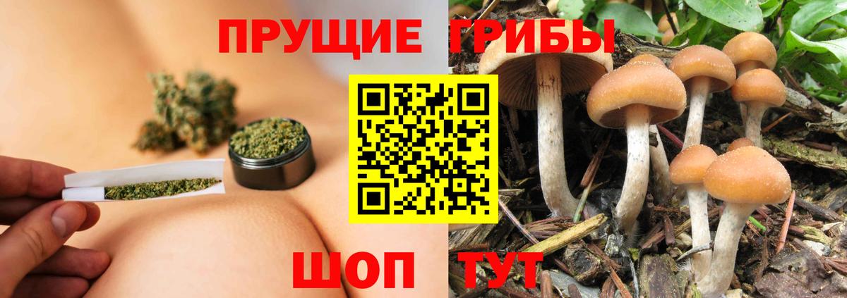 Кунгур  Галлюциногенные грибы прущие грибы  Галлюциногенные грибы прущие грибы  Вход с VPN 